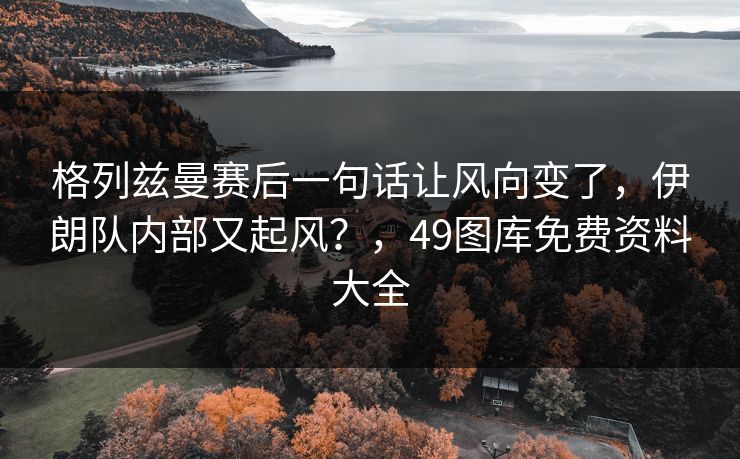 格列兹曼赛后一句话让风向变了，伊朗队内部又起风？，49图库免费资料大全  第1张