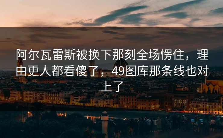 阿尔瓦雷斯被换下那刻全场愣住，理由更人都看傻了，49图库那条线也对上了  第1张