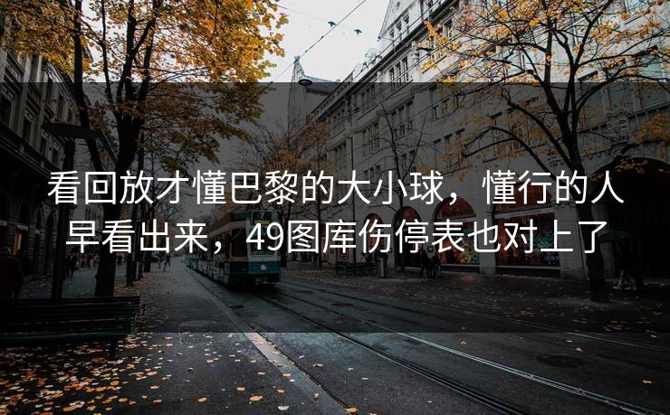 看回放才懂巴黎的大小球，懂行的人早看出来，49图库伤停表也对上了  第1张