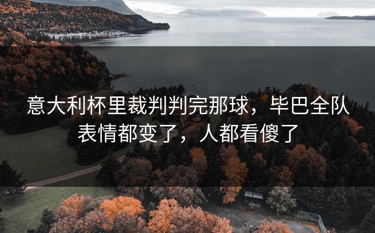 意大利杯里裁判判完那球，毕巴全队表情都变了，人都看傻了  第1张