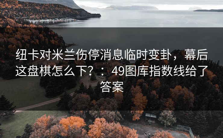 纽卡对米兰伤停消息临时变卦，幕后这盘棋怎么下？：49图库指数线给了答案